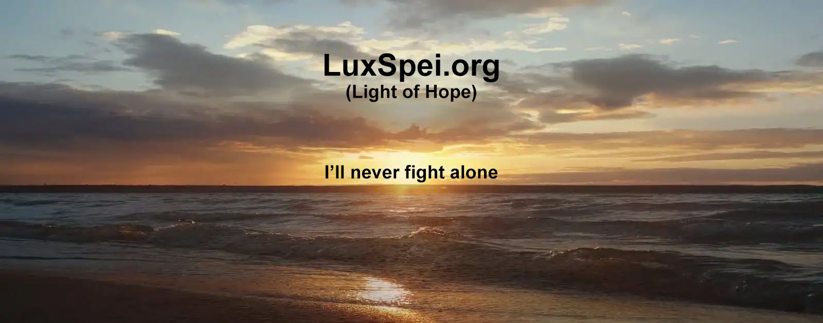 I'll never fight alone