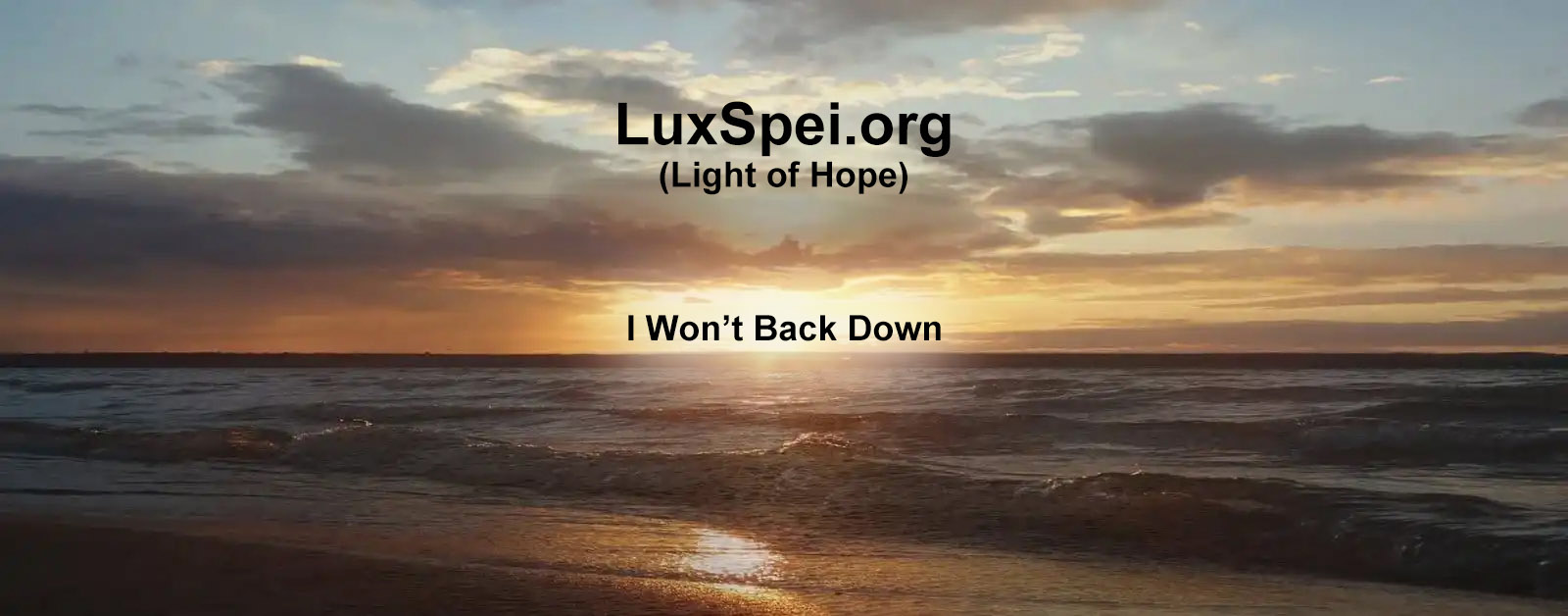 I Wont Back Down