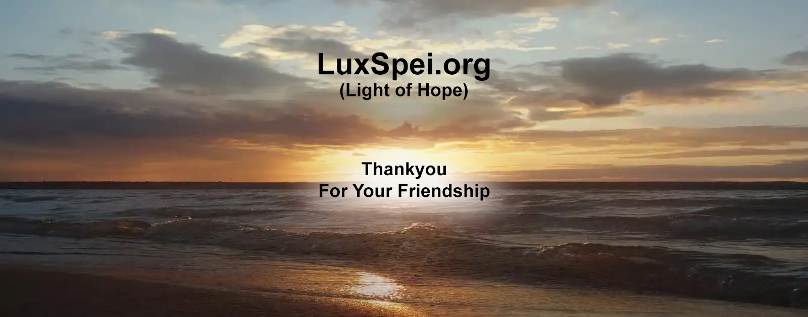 Thankyou For Your Friendship